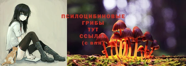 круглые Няндома