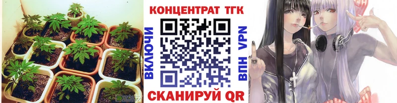 ТГК вейп  hydra как зайти  Кущёвская 