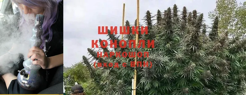 Конопля LSD WEED  blacksprut ССЫЛКА  Кущёвская  купить закладку 